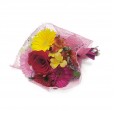 Buquê de Gérberas, Astromélias e Rosas