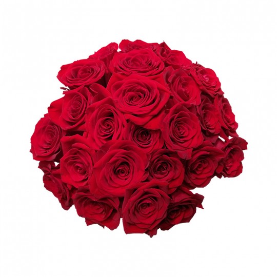 Buquê de 24 Rosas Colombianas