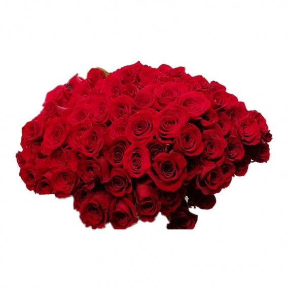 Mega Bouquet with 150 True Colombian Roses