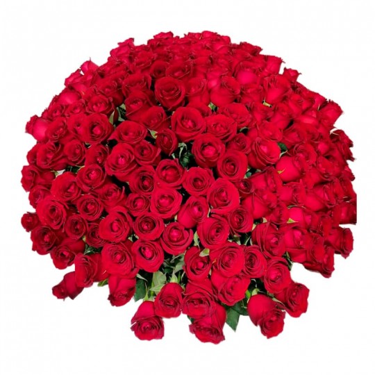 Mega Bouquet with 200 National Roses