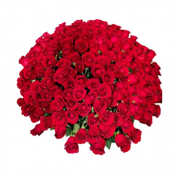 Mega Bouquet with 300 National Roses