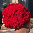 Mega buquê com 500 rosas Nacionais