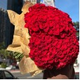 Mega buquê com 500 rosas Nacionais