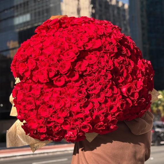 Mega buquê com 500 rosas Nacionais