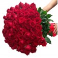 Mega Bouquet with 500 National Roses