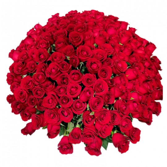 Mega Bouquet with 500 National Roses