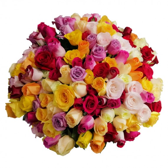 Mega bouquet with 200 Colorful Roses