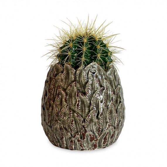 Vase with One Cactus II
