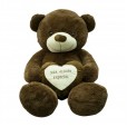 Brown Teddy Bear with Heart "For Someone Special" - 65cm