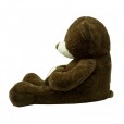 Brown Teddy Bear with Heart "For Someone Special" - 65cm