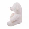 Teddy Bear with Heart "I Love You More Than Chocolate" - 31cm