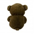 Brown Teddy Bear with Heart "For Someone Special" - 50cm