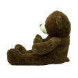 Brown Teddy Bear with Heart "For Someone Special" - 50cm