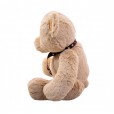 Brown Teddy Bear With Bow of Hearts - 40cm