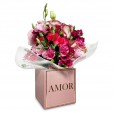 Floral Enchantment Arranjement in Pink Cachepot AMOR