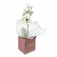 Mini White Orchid Floral Harmony in Pink Cachepot AMOR