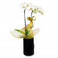 White Orchid Purity and Elegance in Black Cachepot II