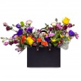 Garden of Colors