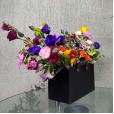 Garden of Colors
