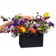 Garden of Colors