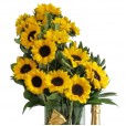 Splendid Sunflower Arrangement with Lindt Chocolate and Chandon Champagne