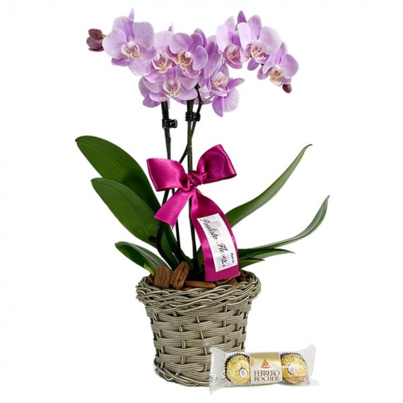 Mini Planted Lilac Orchid and Ferrero Rocher P