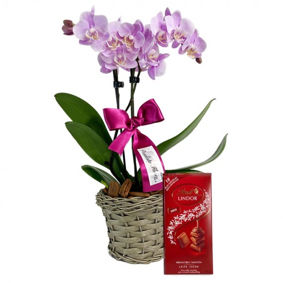 Mini Orquídea Lilás Plantada e Barra Chocolate Lindt Milk