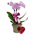 Mini Planted Lilac Orchid and Lindt Heart P