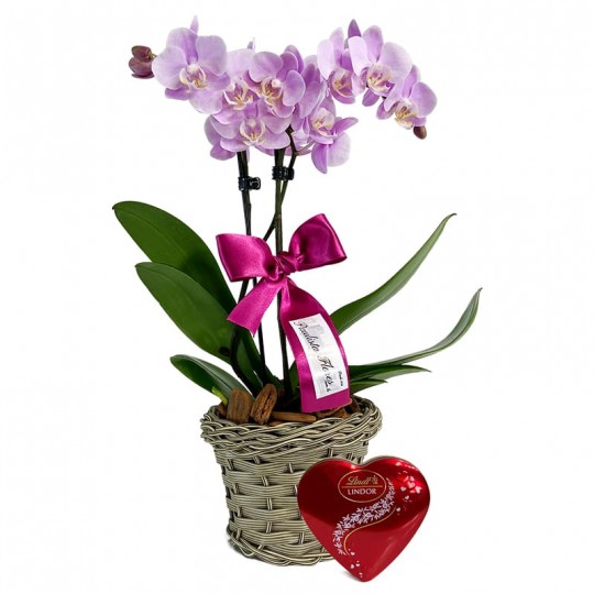 Mini Planted Lilac Orchid and Lindt Heart P