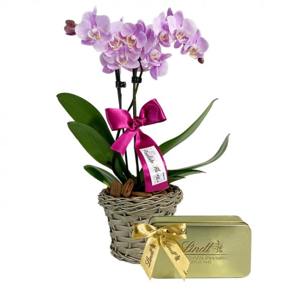 Mini Orquídea Lilás Plantada e Lindt Gold Gift