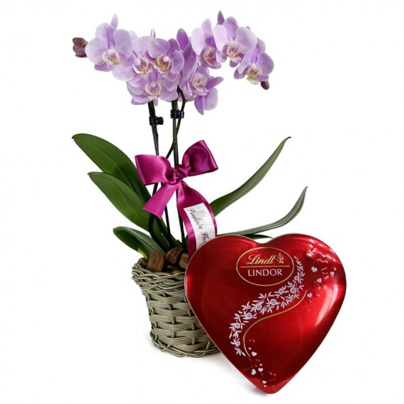Mini Orquídea Lilás Plantada e Lindt Coração G