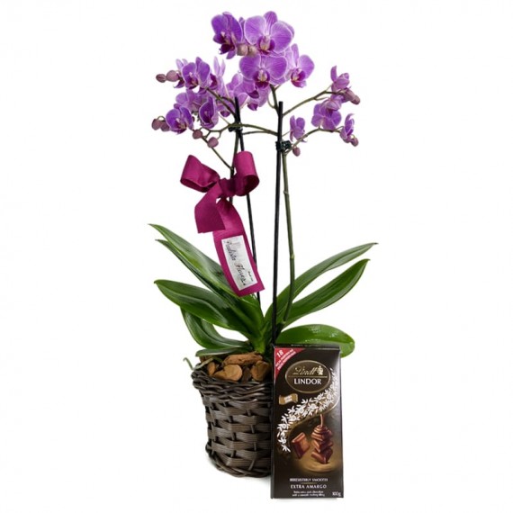Mini Purple Planted Angelic Orchid and Lindt Swiss Dark Chocolate Bar