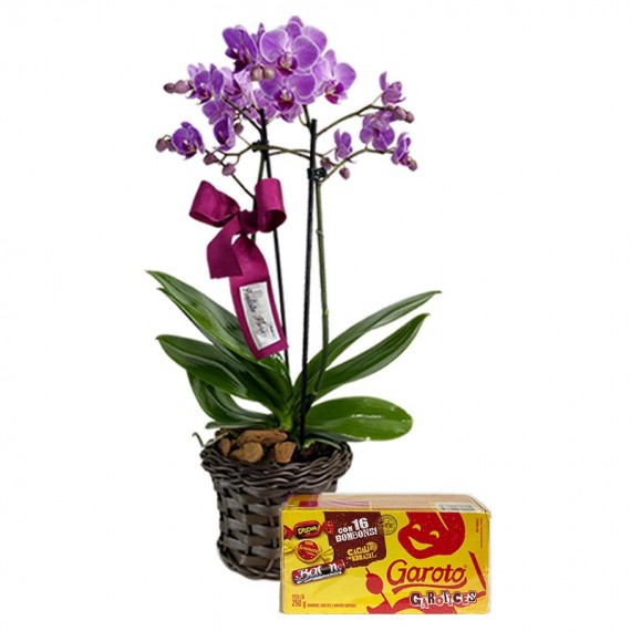 Mini Purple Planted Angelic Orchid and Garoto Chocolates