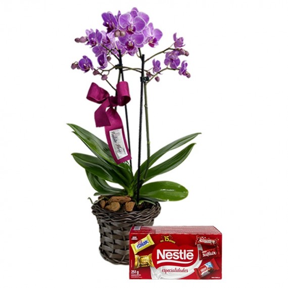 Mini Orquídea Roxa Plantada Angelic e Bombons Nestlé