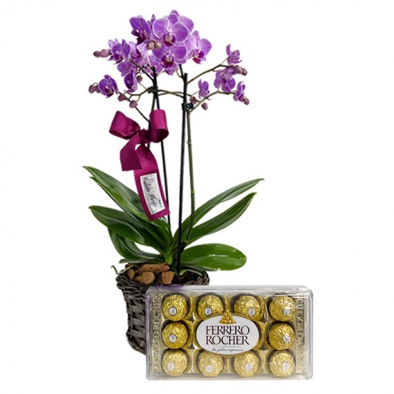 Mini Purple Planted Orchid Angelic and Ferrero Rocher G