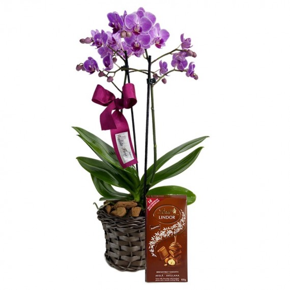 Mini Angelic Planted Purple Orchid and Lindt Hazelnut Chocolate Bar