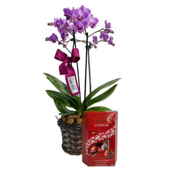 Mini Purple Planted Angelic Orchid and Lindt Milk Chocolate