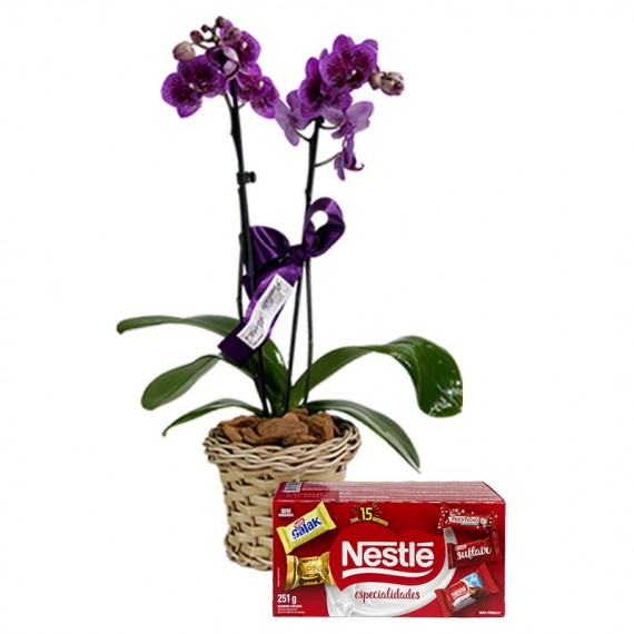 Mini Purple Planted Radiant Orchid and Nestlé Chocolates