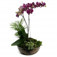 Purple Sublime Arrangement I