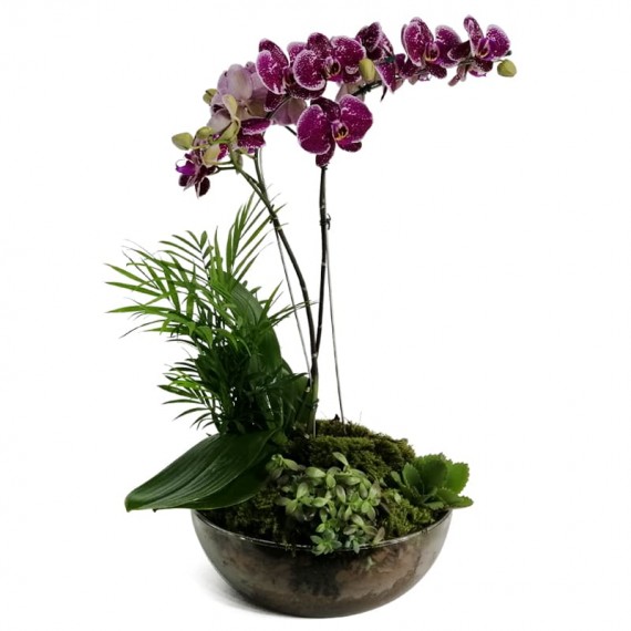 Purple Sublime Arrangement I