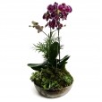 Purple Sublime Arrangement I