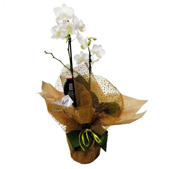 Mini White Orchid