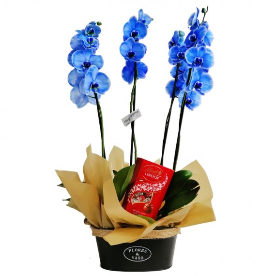 Arrangement Blue II