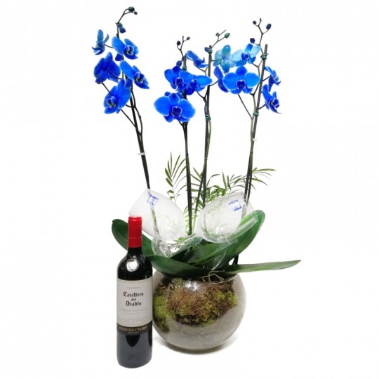 Orquídea Azul em Vaso de Vidro Redondo com Vinho e Taças