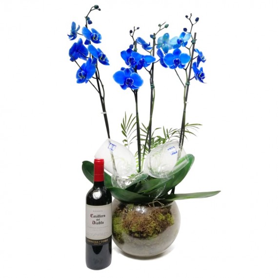 Orquídea Azul em Vaso de Vidro Redondo com Vinho e Taças