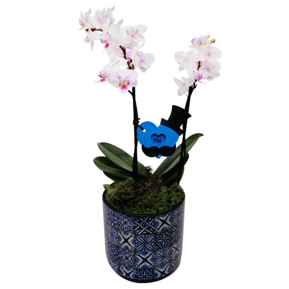 Orquídea Branca e Rosa Média e Rosa em Vaso de Porcelana