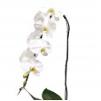 Orquídea Branca em Vaso de Ratan Sintética