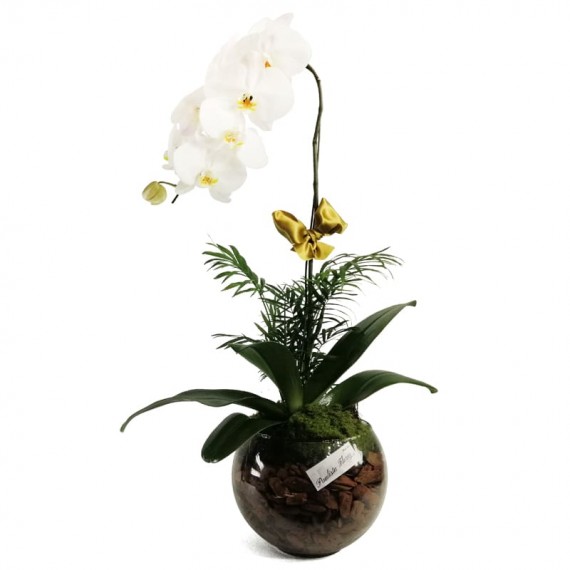 Orquídea Branca com laço em Vaso de Vidro Redondo