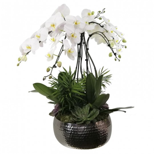 Orquídea Cascata Branca com Vaso de Inox e Suculentas