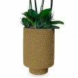 Orchids Planted in Vase Frescor da Natureza